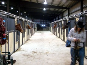 Alberta Equestrian Boarding